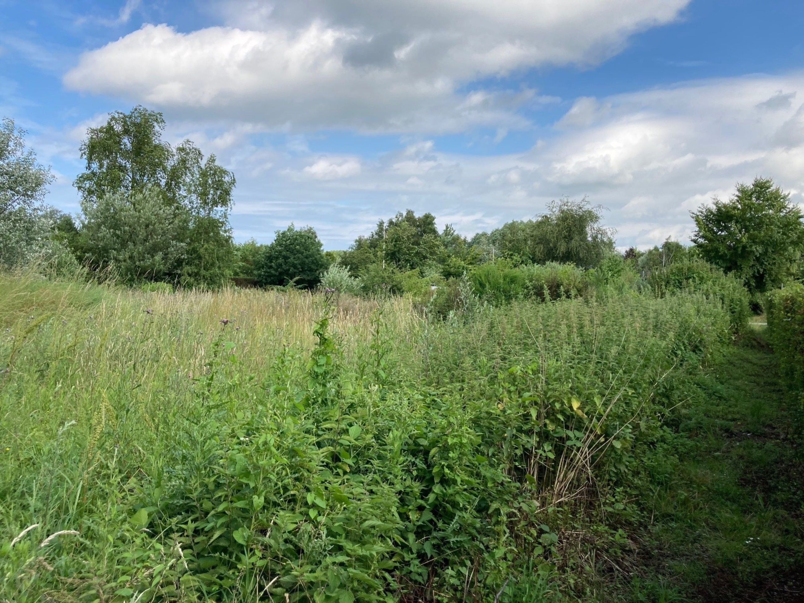 Krokusvej 10,  Fritidsgrund